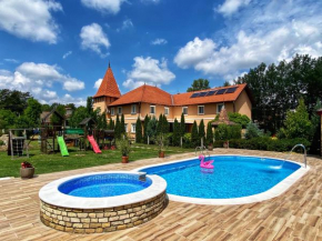 Отель Villa Larus  Палич